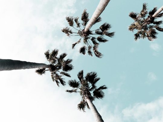 An In-Depth Travel Guide to Southern California